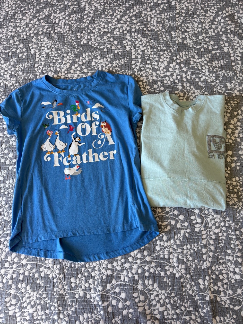 Disney Park shirts - Spirit Jersey - XS